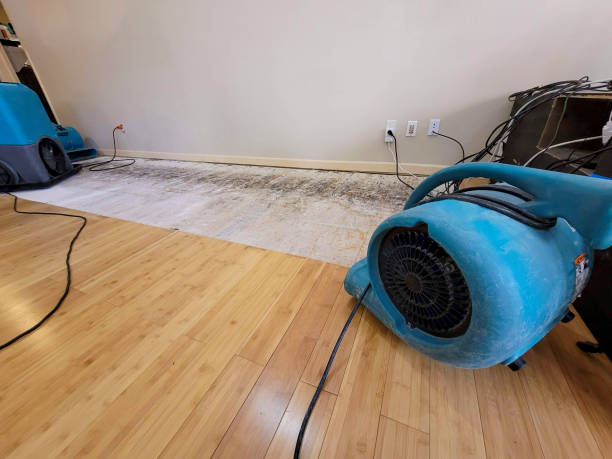 Professional Basement Flood Cleanup technician working in New City, NY